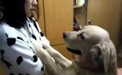 渣男和渣女做不干净的事情视频